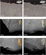 Scraping hide in the early Upper Paleolithic: Insights into the life and function of the Protoaurignacian endscrapers at Fumane Cave