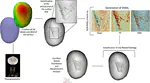 An integrated method for understanding the function of macro-lithic tools. Use wear, 3D and spatial analyses of an Early Upper Palaeolithic assemblage from North Eastern Italy