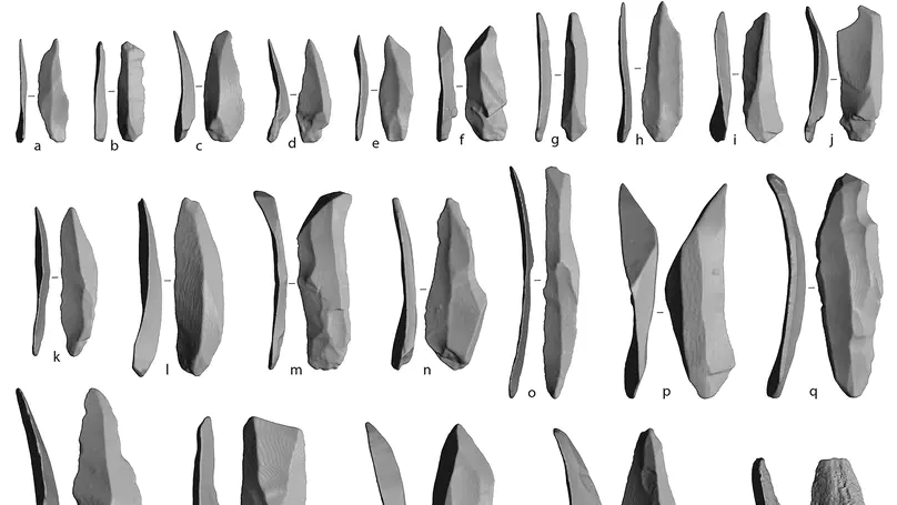 Bringing shape into focus: Assessing differences between blades and bladelets and their technological significance in 3D form