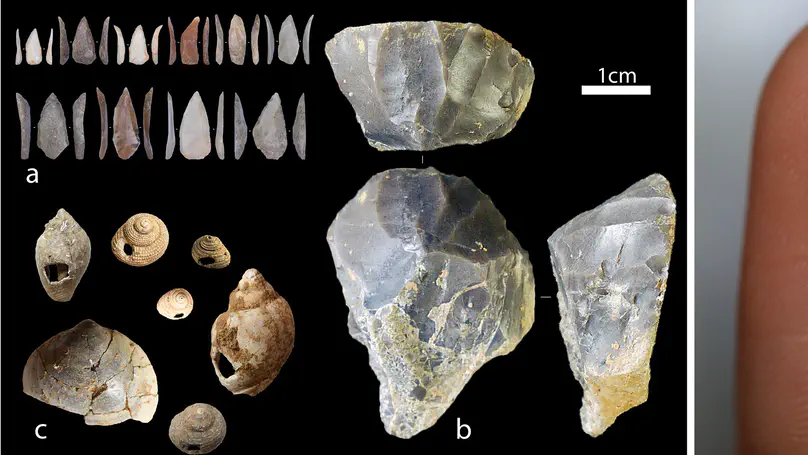 A pre-Campanian Ignimbrite techno-cultural shift in the Aurignacian sequence of Grotta di Castelcivita, southern Italy