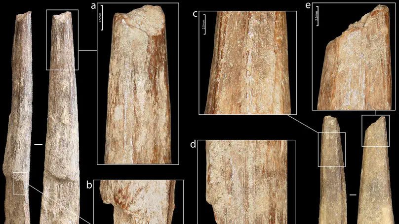 Revisiting the Early Aurignacian in Italy: New insights from Grotta della Cala